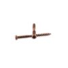 Hardware * | #10 X 2-1/2 In. 1,000 Hour Ppg E-Coat Red Composite Deck Screws Competitive Price Woodpro